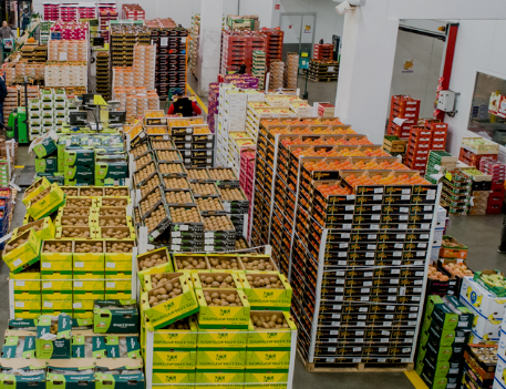 شاحنات مبردة